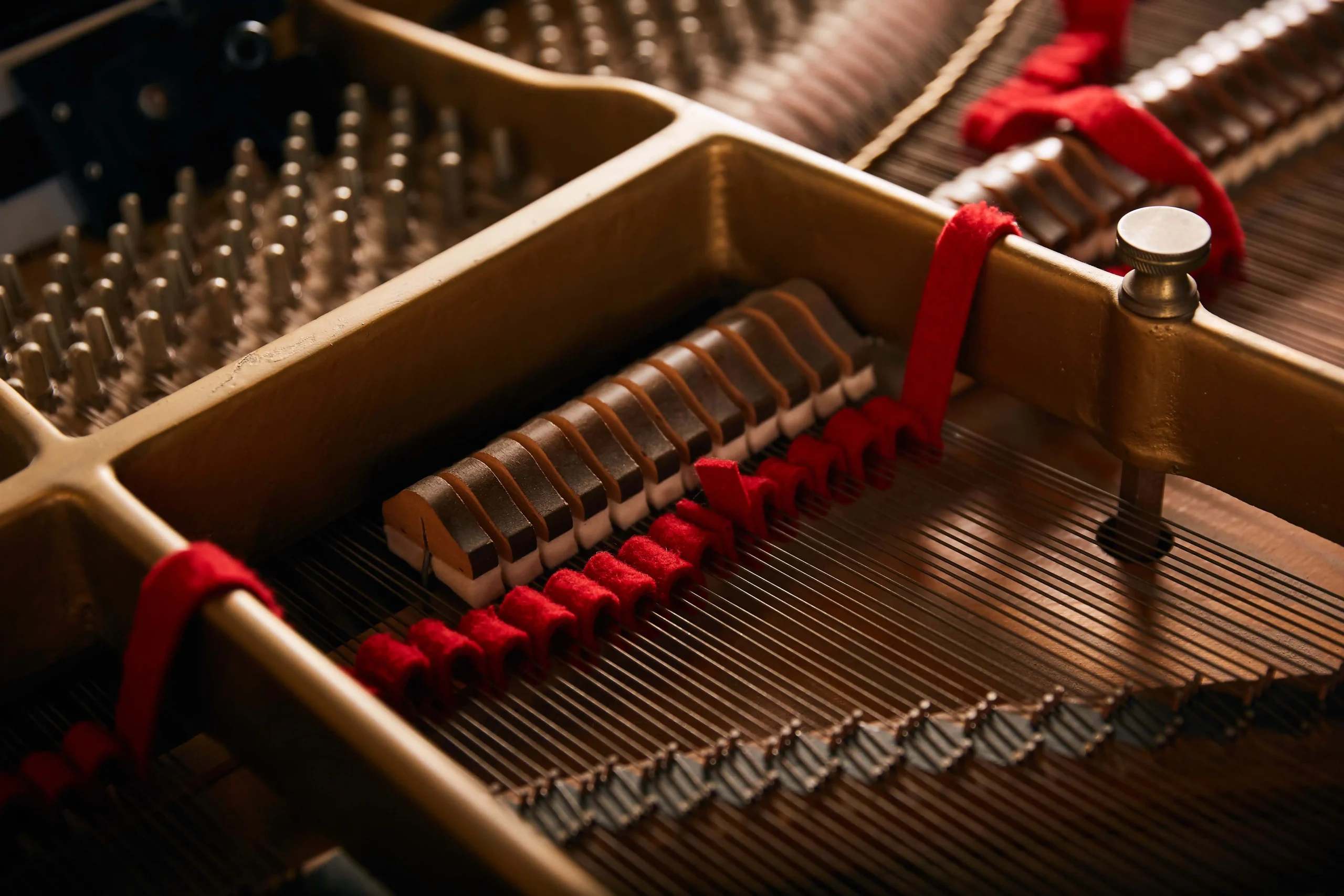 Interior Piano with Tuning Mutes